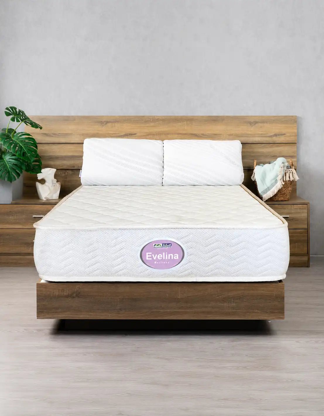 25 cm - مرتبة المامون ايفيلينا _ mattress
