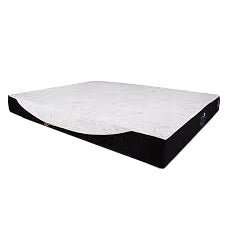 25 cm - مرتبة سبرينج اير ايكوس _ mattress