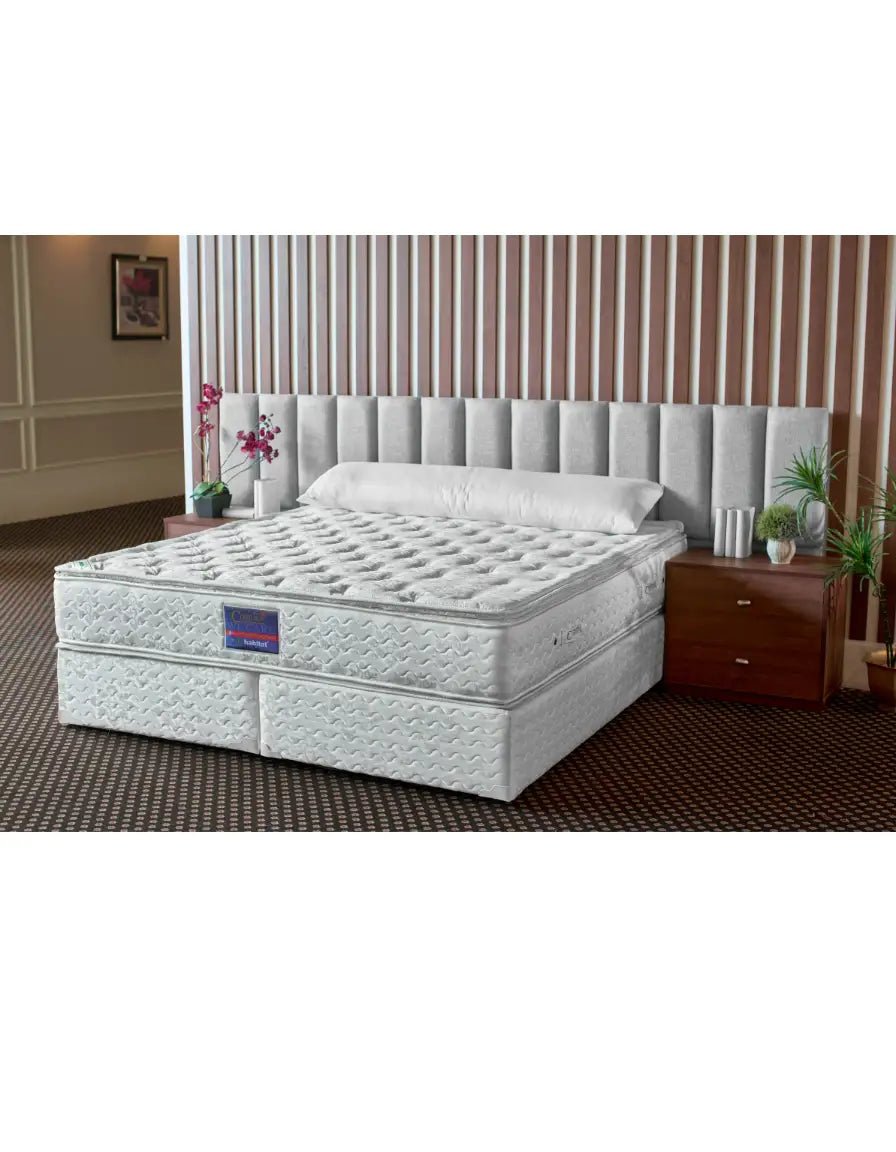 31 cm - مرتبة هابيتات كومفورت بيلوتوب _ mattress