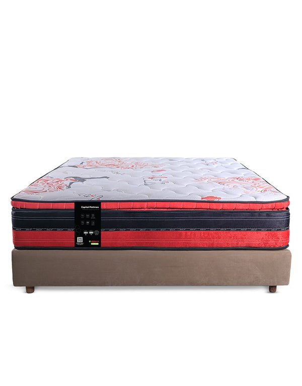 30cm - Dora Capital Bellow Pocket Mattress