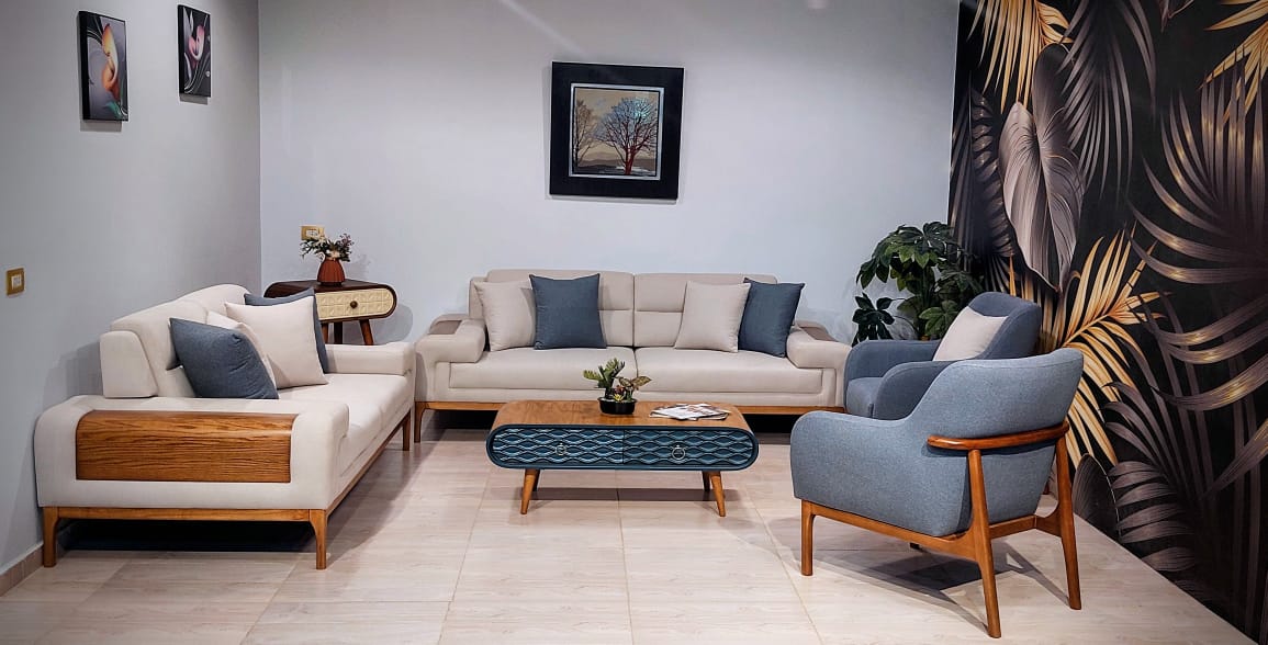 انتريه باريس NK _ living room