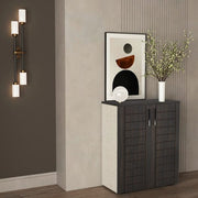 جزامة مودرن APP-shoescabinet9020 _ خزانات احذية