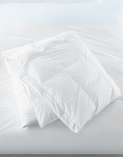 natural duck down comforter next and go _ natural duck down comforter