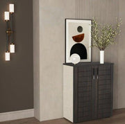 SH6 modern shoe cabinet, code shoescabinet9009