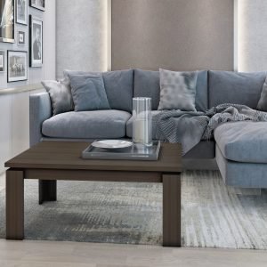 ترابيزات ليفينج مودرن 70×100 كود moderntable7012 _ ترابيزه مودرن